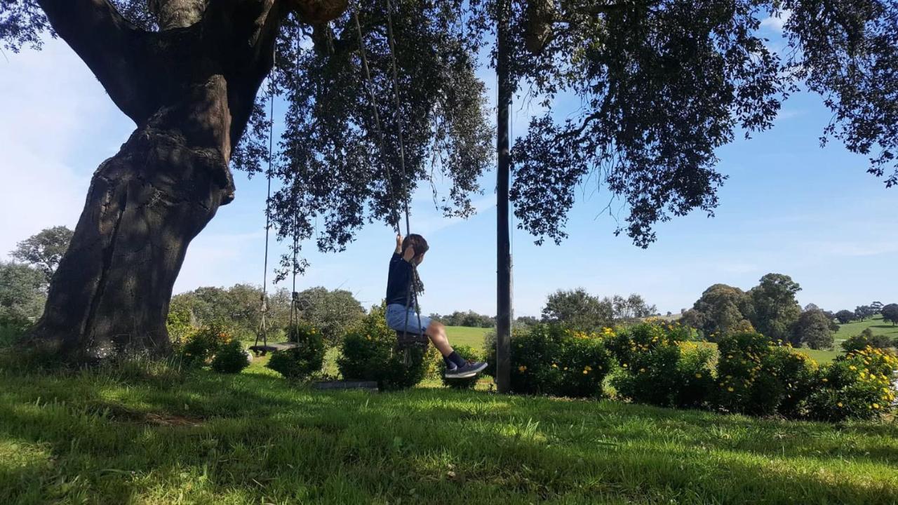 Herdade Reguenguinho Cercal do Alentejo Esterno foto